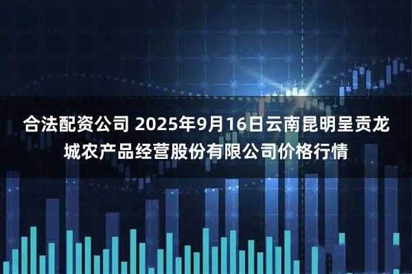 合法配資公司 2025年9月16日云南昆明呈貢龍城農產品經營股份有限公司價格行情