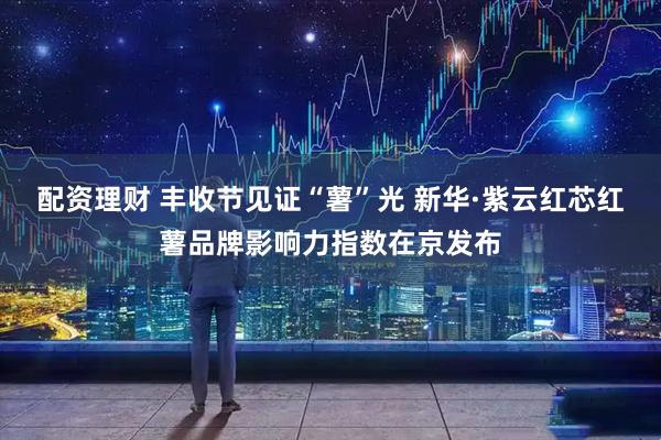 配資理財(cái) 豐收節(jié)見證“薯”光 新華·紫云紅芯紅薯品牌影響力指數(shù)在京發(fā)布